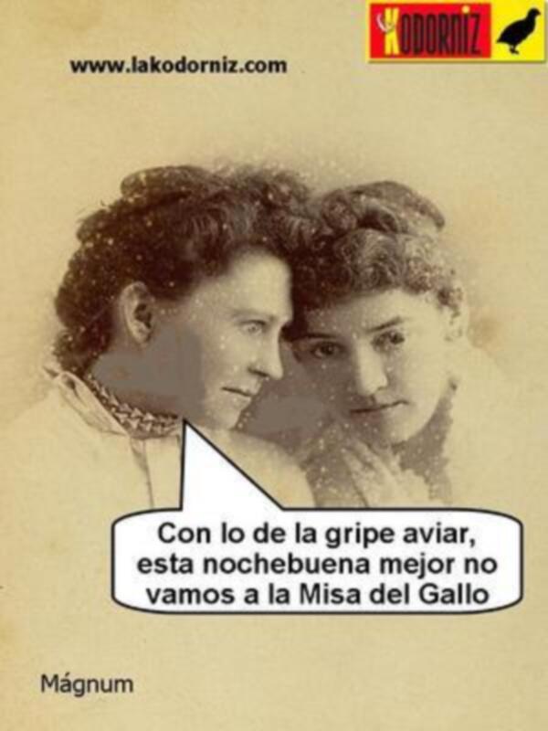 Dos personas con el texto: 'Con lo de la gripe aviá, esta nochebuena mejor no vamos a la Misa del Gallo'.