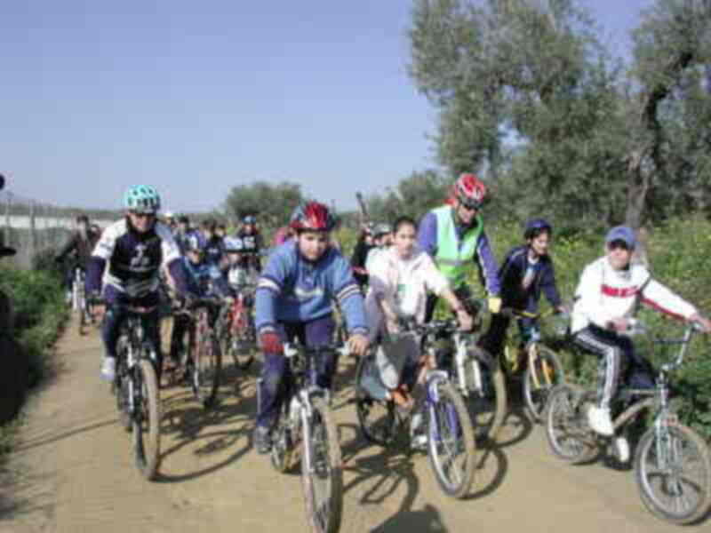 Un grupo de ciclistas disfruta de una ruta en bicicleta por un sendero rural soleado.