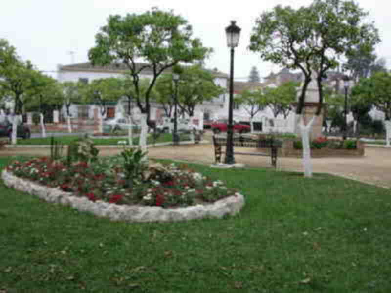 Jardín con flores y árboles en un entorno urbano tranquilo.