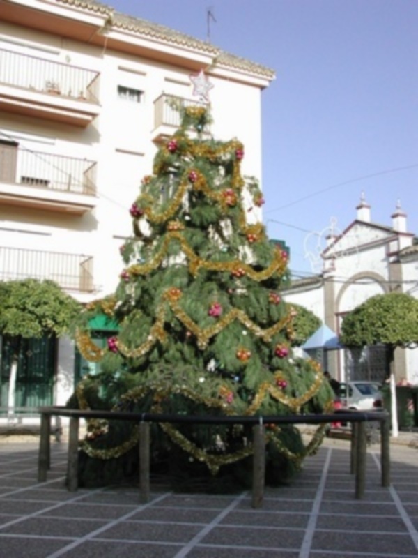 Árbol de Navidad decorado con luces y adornos en una plaza urbana.