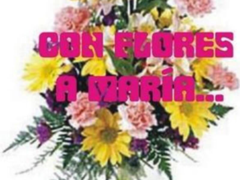 Un hermoso arregllo floral con claveles, alcatraces y girasoles, dedicado a María.
