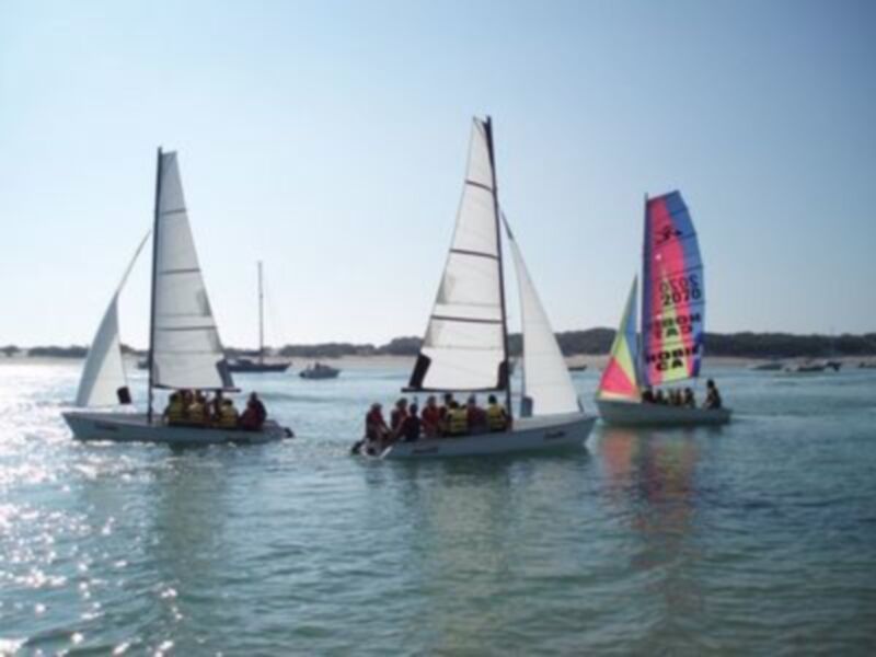 Regata de veleros con barcos a vela en el agua, un día soleado y alegre.