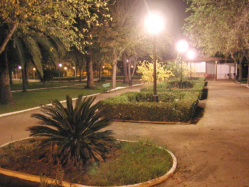 Un parque nocturno con luces de calle iluminando la calle y los árboles, con una palmera en el centro del parque.