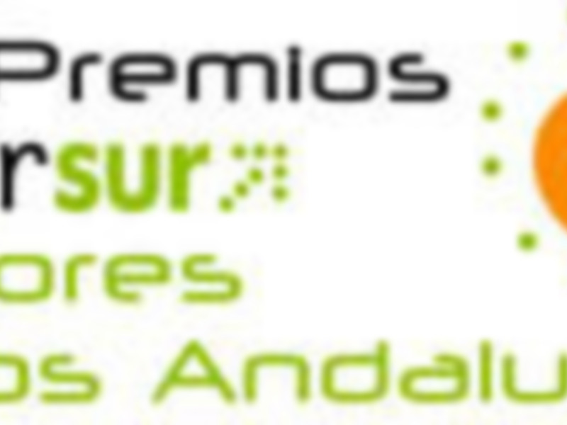 VIII Premios CiberSur Mejores Webs Andaluzas