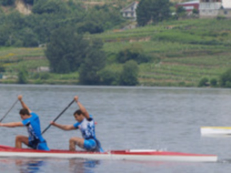Equipo de remo en acción en un lago, rodeado de viñedos y casas al fondo.