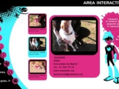 Civiccan lanza la primera plataforma on-line para adopción de mascotas