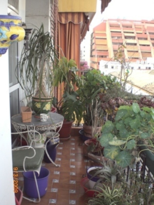 Un pequeño balcón con una mesa de centro y varias plantas en macetas, con un edificio en el fondo.