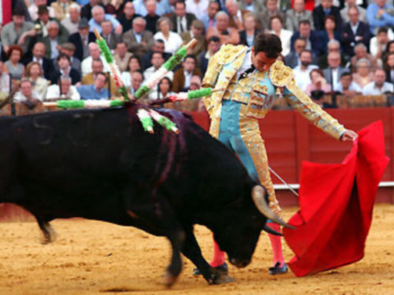 Un torero en traje tradicional de color azul y amarillo, con un capote rojo en la mano, lucha con un toro negro en una plaza de toros.