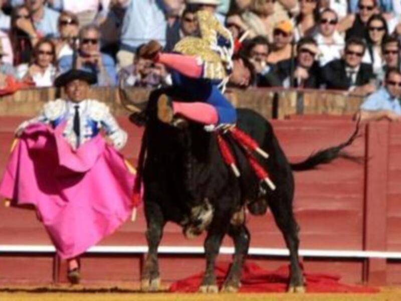 Una corrida de toros en un estadio lleno de espectadores, con un torero en el centro, sujetando un capote y un chaleco de cuero, mientras un toro se prepara para la lucha.