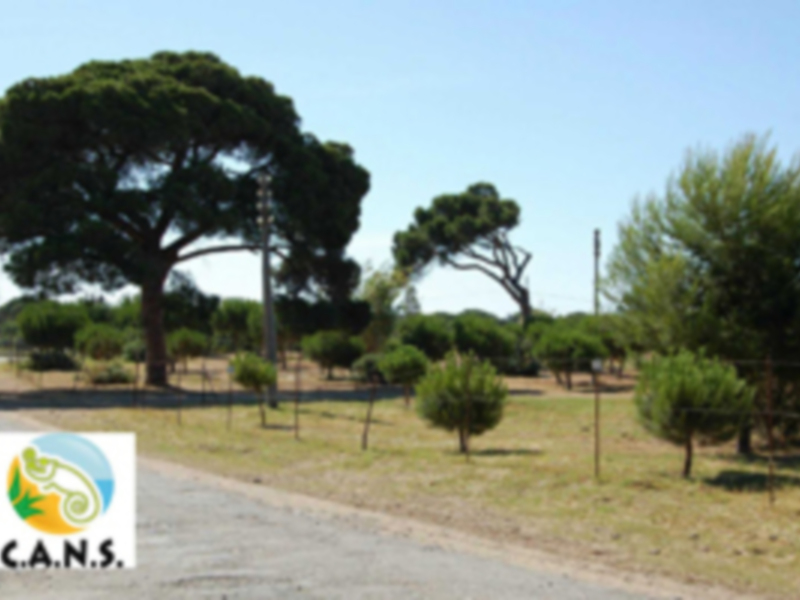 Áreas verdes con pinos y sendero, marcadas por el logo de C.A.N.S. en la esquina inferior izquierda.