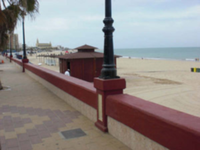 Paseo marítimo con vista al mar y playas de arena en un día soleado.
