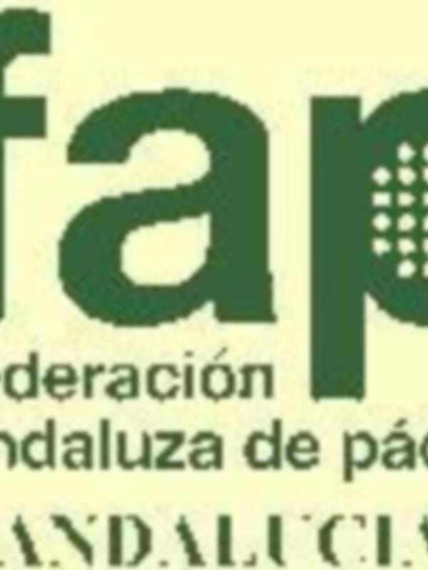 Logotipo de la Federación Andaluza de Pádel, destacando el nombre y la región Andalucía.