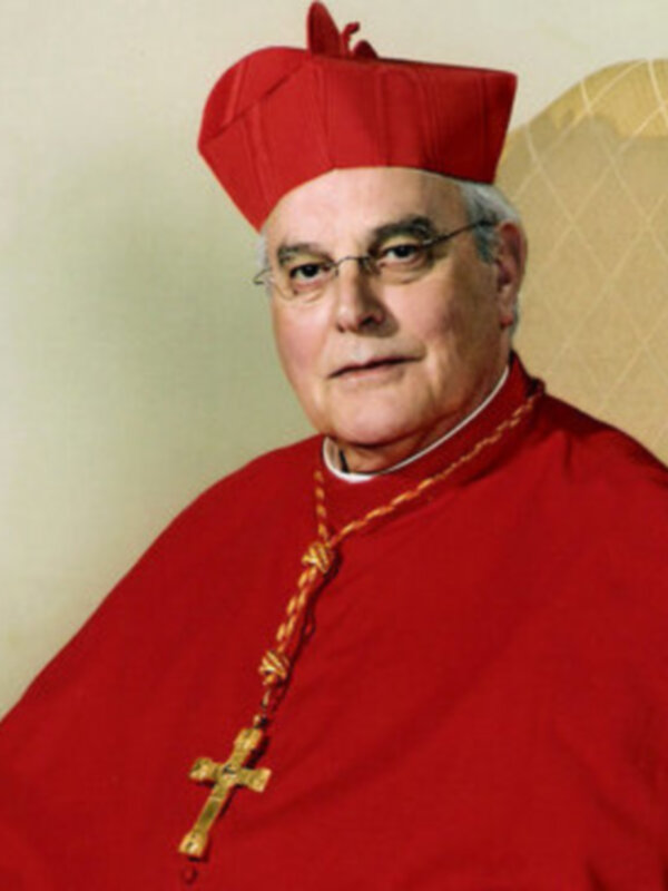 Retrato de un cardenal con casulla roja y capa, símbolo de su alto rango eclesiástico.