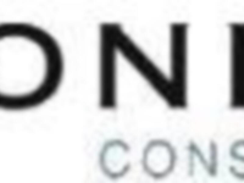 Logo de OZONIA Consultores, una empresa de consultoría en la imagen proporcionada.