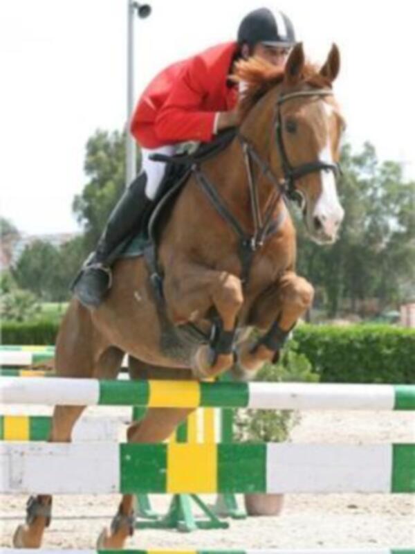 Jinete y caballo saltando un obstáculo en un torneo ecuestre al aire libre.