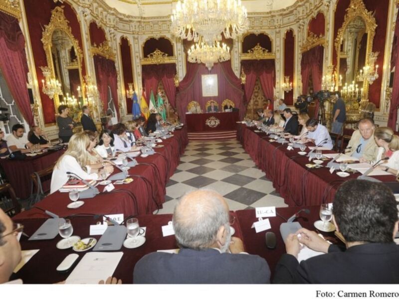 Reunión en un salón de estilo clásico con mesa larga y personas participando en discusiones.