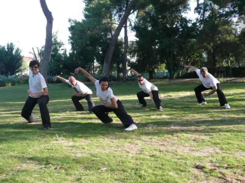 Grupo de personas practicando tai chi en un parque verde, con árboles y césped en el fondo.