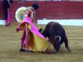 Un torero con un traje de luces rosa y amarillo se encuentra en el centro del ruedo, luchando con un toro negro. La imagen muestra una escena típica de la tauromaquia, con el torero y el animal en acción.