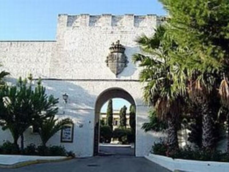 Entrada de un edificio histórico con arco y escudo, rodeado de palmeras y un cielo claro.