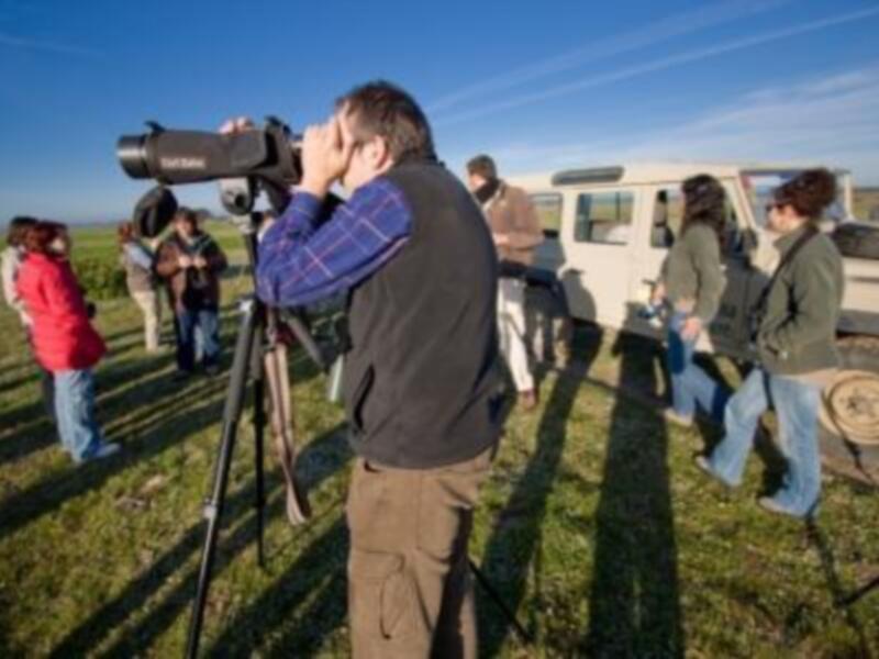 Grupos de personas observando con telescopios en un campo abierto bajo un cielo azul claro.