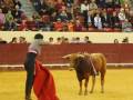Un torero en el centro de la plaza de toros, con un toro frente a él y una multitud de espectadores en el fondo.