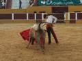 Un torero en un anfiteatro de arena, con un toro y una capa roja. La imagen muestra una escena típica de la tauromaquia, con el torero en acción.