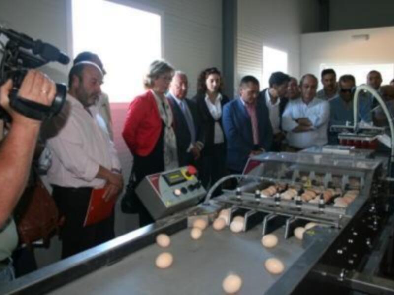 Una línea de producción automática en un centro de producción de alimentos, con trabajadores observando el proceso de producción de productos alimenticios.