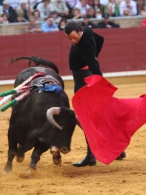 Finito de Córdoba y Arancha del Sol ganan 100.000 euros a Ana Rosa Quintana en los tribunales