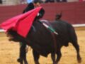 Un torero en traje de luces y capa roja lucha con un toro negro en una plaza de toros.