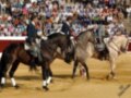 Horses and riders in a rodeo event, with spectators watching from the stands.