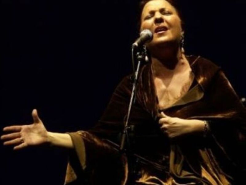 Cantante en actitud de canto, con brazo extendido y micrófono en escenario.