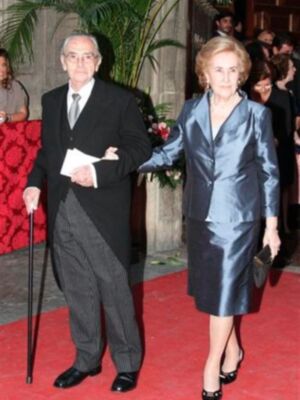 Boda en Sevilla de Carmen Solís Tello y Agustín Aranda