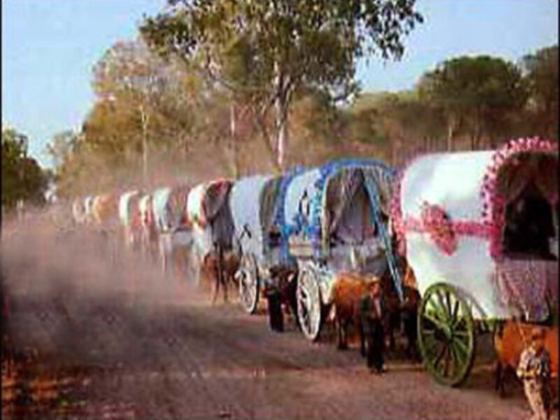 Caravana de carros tirados por caballos en un camino rural rodeado de árboles.