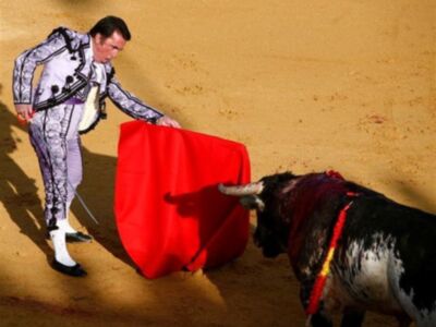 Ortega Cano operado del pie