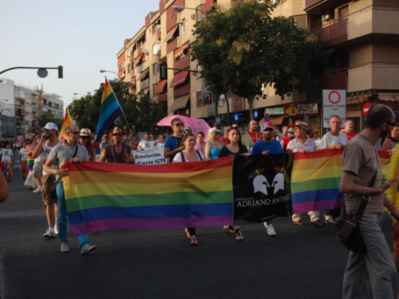 Marcha LGTB con banderas arcoíris y pancartas en una calle urbana.