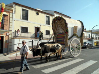 La Hermandad del Rocío de Triana, devuelta por la calle Real de Castilleja
