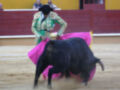 Matador performing with a black bull in a sandy arena, with spectators watching from the stands.