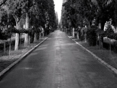 Esa sangre veloz de los artistas. "Después de morirse un padre"