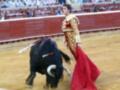 Un torero con un capote rojo y un traje de luces, enfrentándose a un toro negro en una plaza de toros. El público observa desde las gradas.