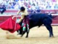 Un torero maneja su capa durante una corrida de toros en un ruedo lleno de espectadores.