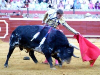 Susto y voltereta de José Tomás que sufrió una cogida en Huelva sin consecuencias