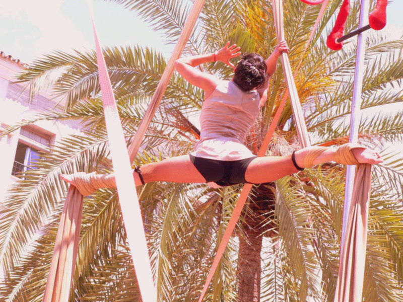 Artesanales de circo en palmeras: una performance de equilibrio y flexibilidad al aire libre.