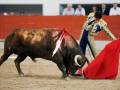 Un torero, vestido con traje tradicional de color dorado y negro, lucha contra un toro en una plaza de toros. El toro es grande y negro, con una corbata roja en su espalda. El torero sostiene un paño rojo, intentando desviar o acariciar al animal. La escena se desarrolla en un recinto con una barda roja y varios espectadores observando la acción.