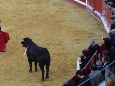 Ortega Cano debuta como apoderado de Julio Aparicio