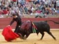 Un torero en chaqueta negra y capa roja lucha con un gran toro negro en una plaza de toros. El público observa desde los asientos alrededor del ruedo.