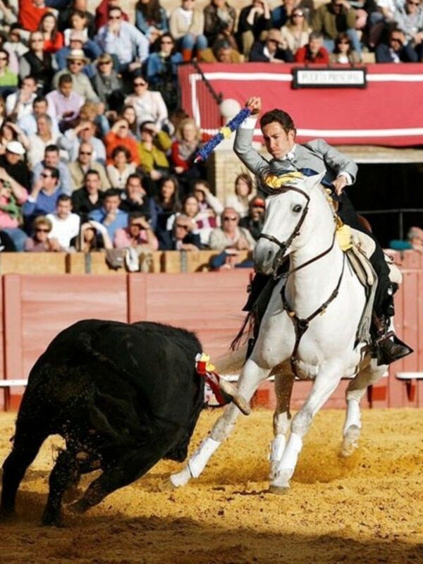 Jinete en acción durante una corrida de toros en arena, rodeado por un público atento.