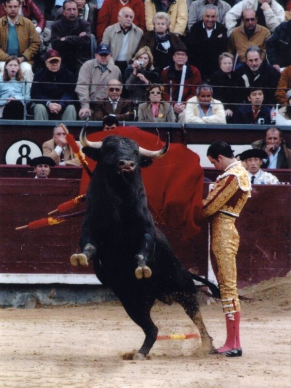 Un torero lidiando un toro en una corrida de toros, rodeado por un público atento en la plaza de toros.