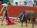 Un torero en traje tradicional se prepara para enfrentarse a un toro en una plaza de toros. La imagen captura el momento antes de la matanza, con el torero mostrando su habilidad y el toro listo para la acción.