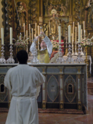 Función Solemne a la Stma. Virgen del Carmen de la Villa de Alcalá del Río.