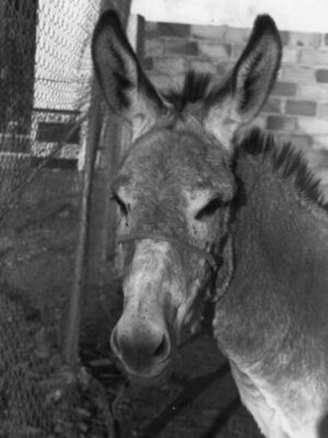 Los gustos sexuales de la gente.- 